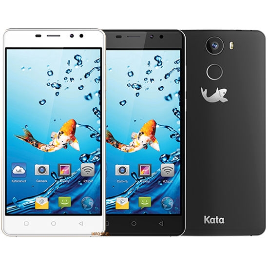 Kata C2