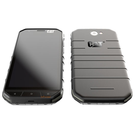 Cat S31