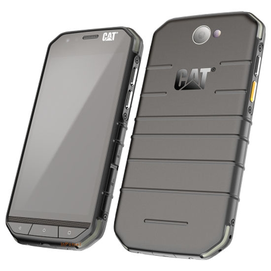 Cat S31