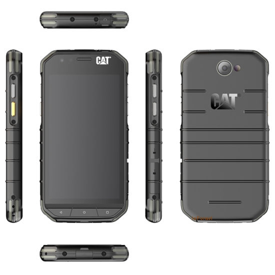 Cat S31