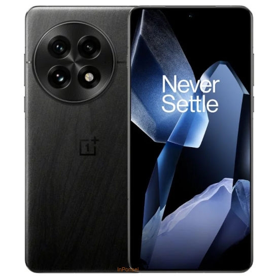 OnePlus 13
